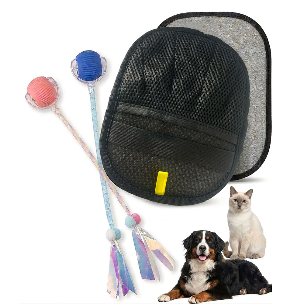 Pet Bundle – 2 Interactive Balls + Electrostatic Pet Hair Removal Glove