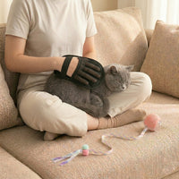 Electrostatic Pet Hair Removal Glove