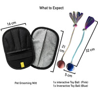 Pet Bundle – 2 Interactive Balls + Electrostatic Pet Hair Removal Glove
