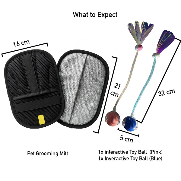 Pet Bundle – 2 Interactive Balls + Electrostatic Pet Hair Removal Glove