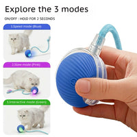 Interactive pet balls with pom-pom and feather tail